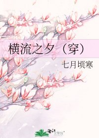 《横流之夕(穿)》