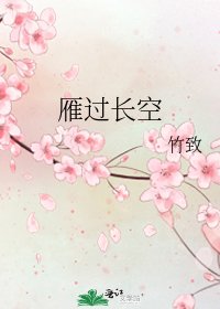 雁過長空