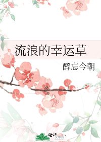 《流浪的幸运草》