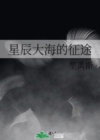 《星辰大海的征途》