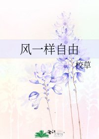 《风一样自由》