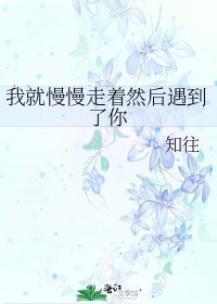 《我就慢慢走着然后遇到了你》