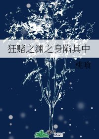 《狂赌之渊之身陷其中》