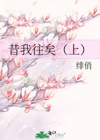昔我往矣(上)