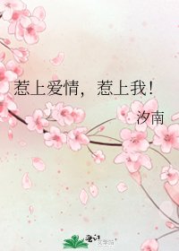惹上爱情,惹上我!