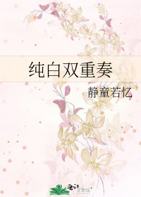《纯白双重奏》