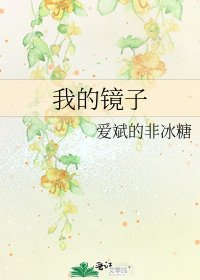 《我的镜子》
