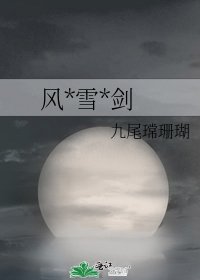 《风*雪*剑》