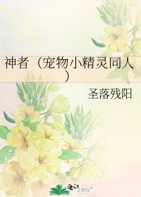 神者(宠物小精灵同人)