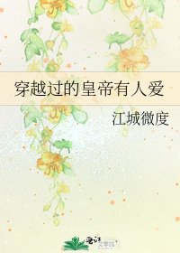 《穿越过的皇帝有人爱》