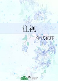 《注视》