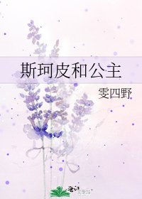 《斯珂皮和公主》