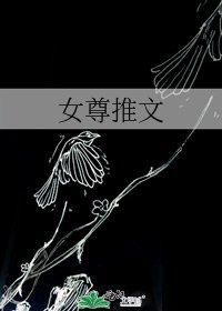 《女尊推文》