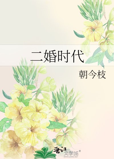 二婚時代