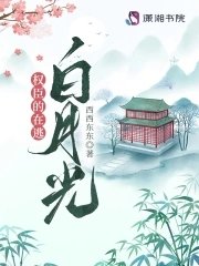 权臣的在逃百月光