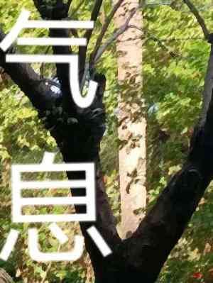 《气息》