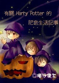 《有关Harry Potter 的肥皂生活记事》