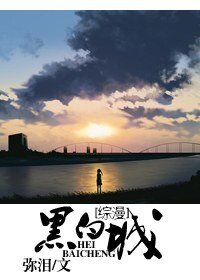 (綜漫同人)黑白城